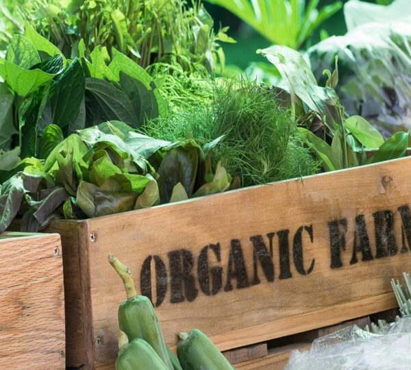 Organic Farming