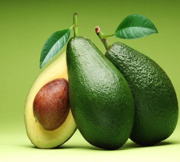Avacado
