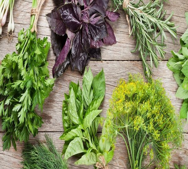 Organic Herbs