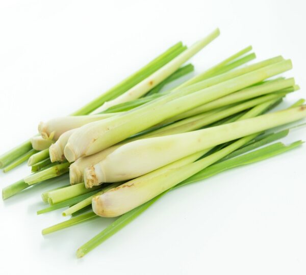 Lemon Grass