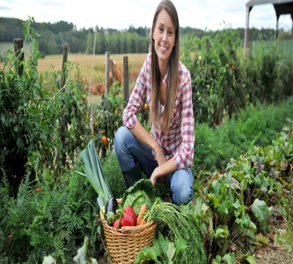 Organic Farming