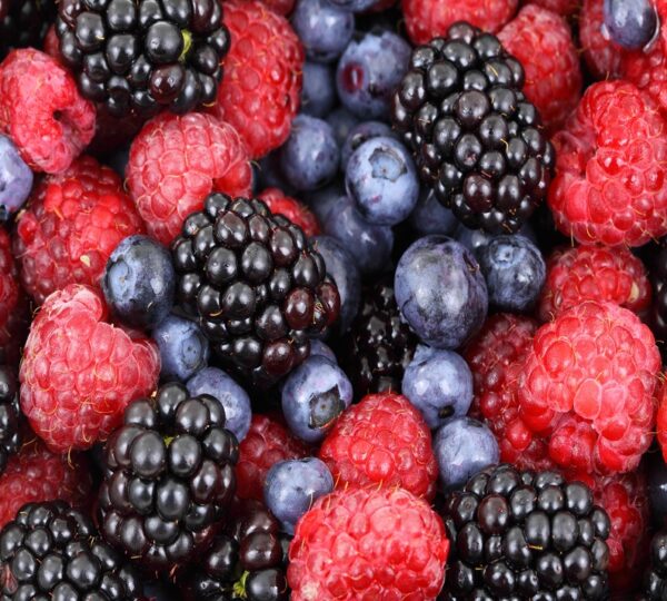 Berries